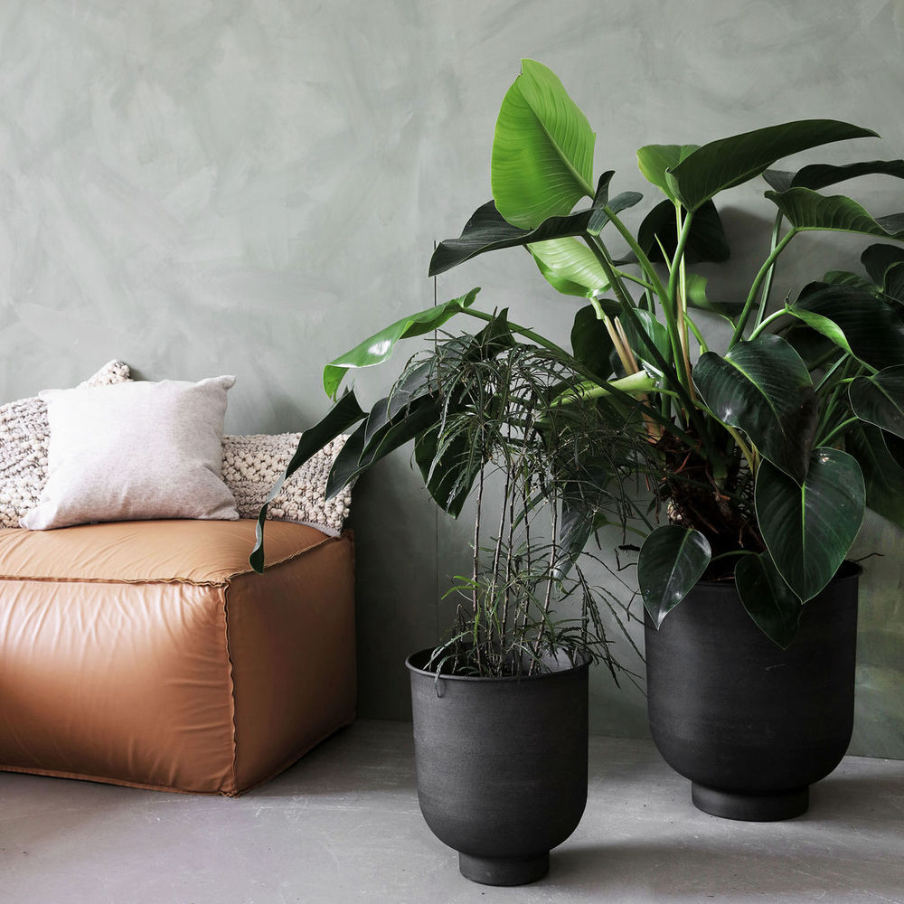 House Doctor Planten, Vig, Grijs