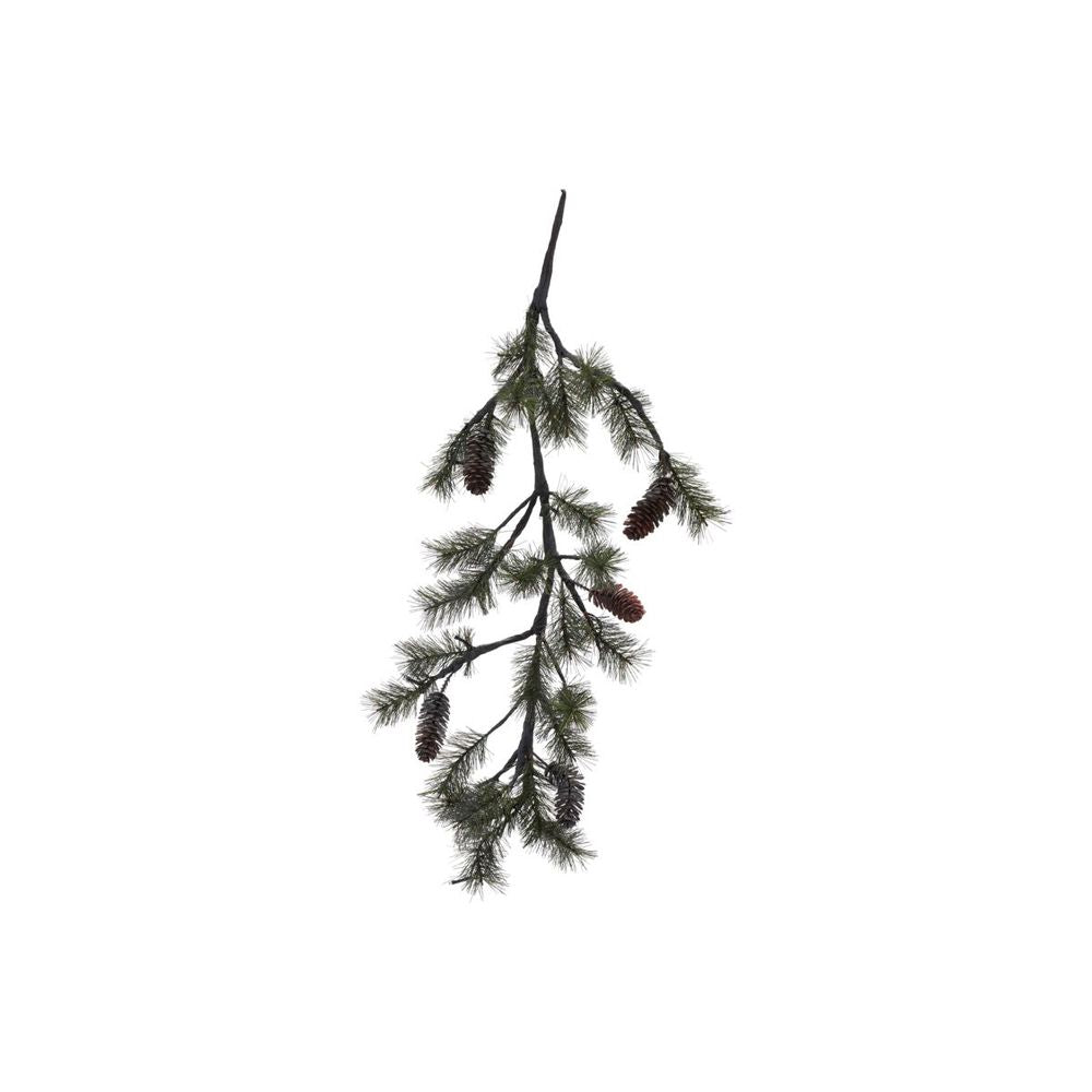 House Doctor Peuce, Natuur