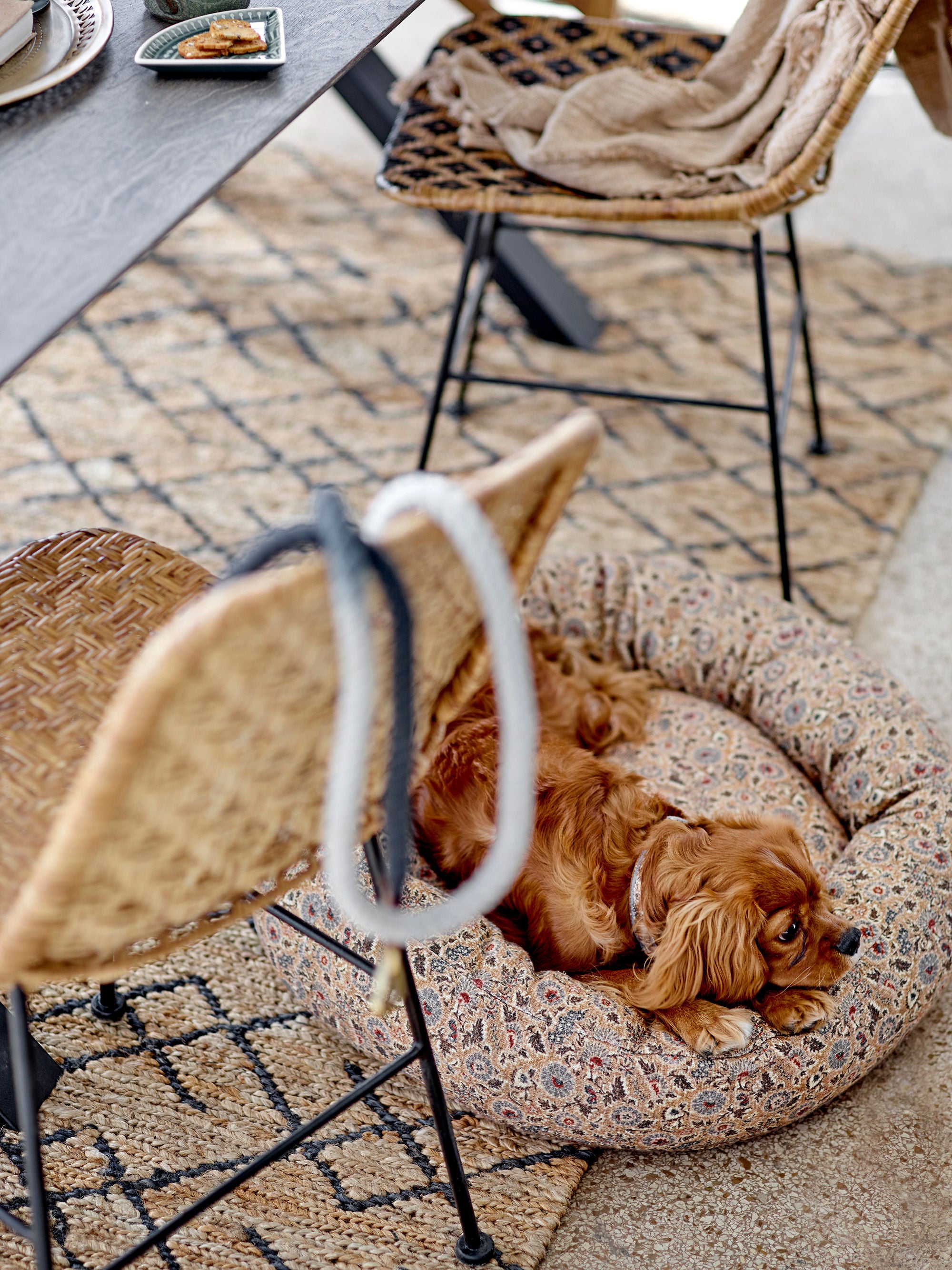 Bloomingville, coussin pour chien Vittoria, marron, coton